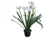 10 Inspirasi Dekorasi Bunga Hias Plastik Untuk Ruang Tamu 10 Inspirasi Dekorasi Bunga Hias Plastik Untuk Ruang Tamu