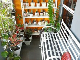 Cara Mendekorasi Teras Rumah Dengan Bunga Cara Mendekorasi Teras Rumah Dengan Bunga